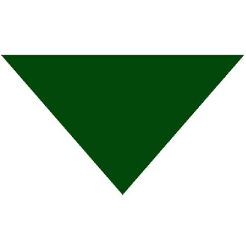 Triangle Bandana - Green 22" X 22" X 30" 12 PACK