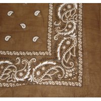 (image for) Paisley Bandana (100% Cotton) -Brown 22" x 22" 12 Pack