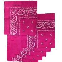 (image for) Paisley Bandana (100% Cotton) - Hot Pink 22" x 22" 12 Pack
