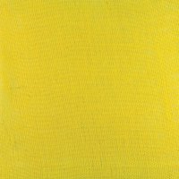 (image for) YELLOW
