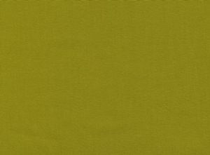 45" Avocado Broadcloth - By the Yard